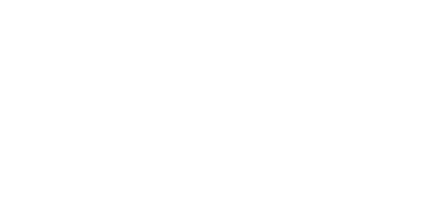 English 4 Miners
